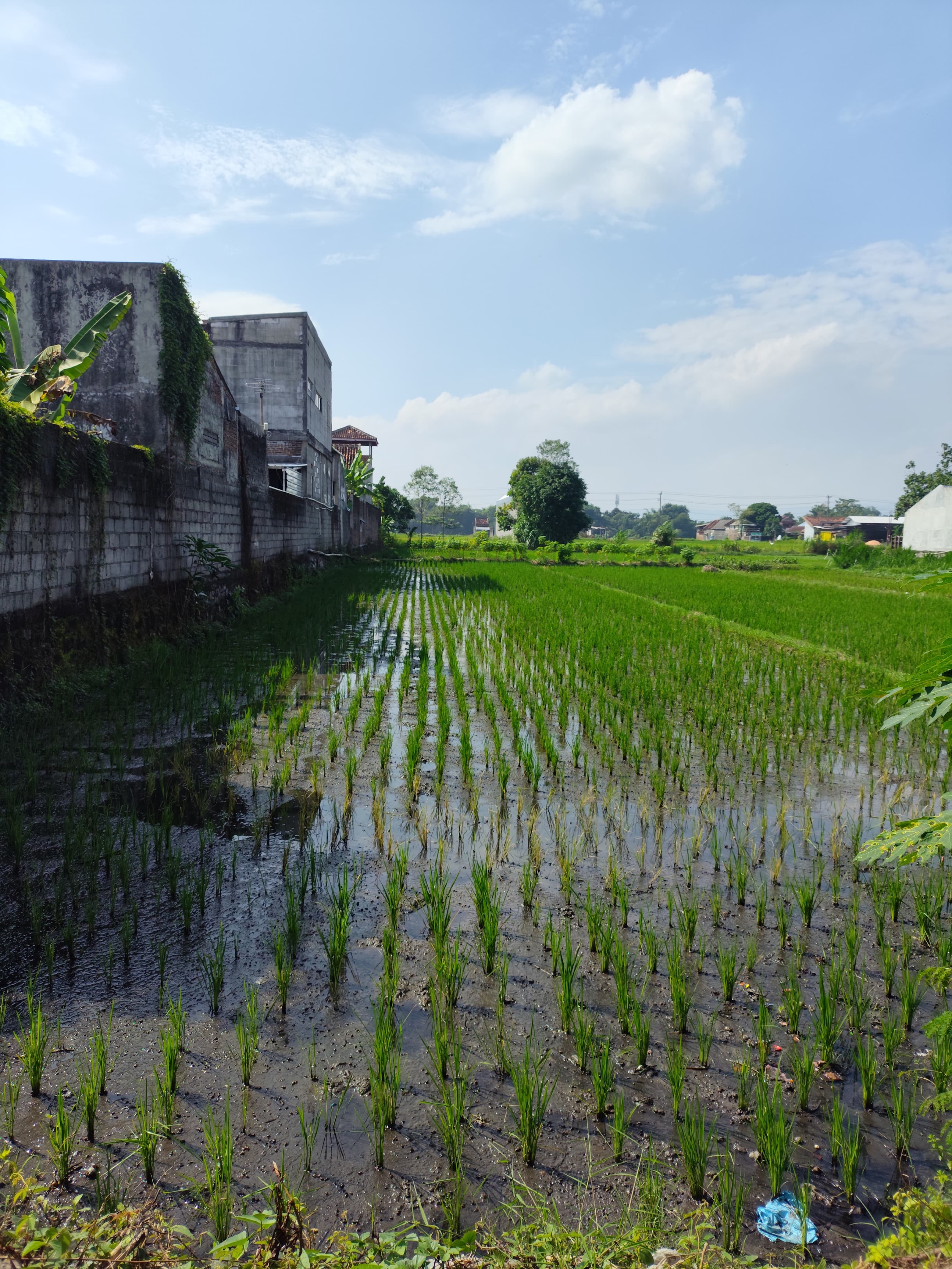 Property sejenis